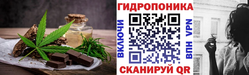 OMG вход  Бийск  Еда ТГК марихуана 